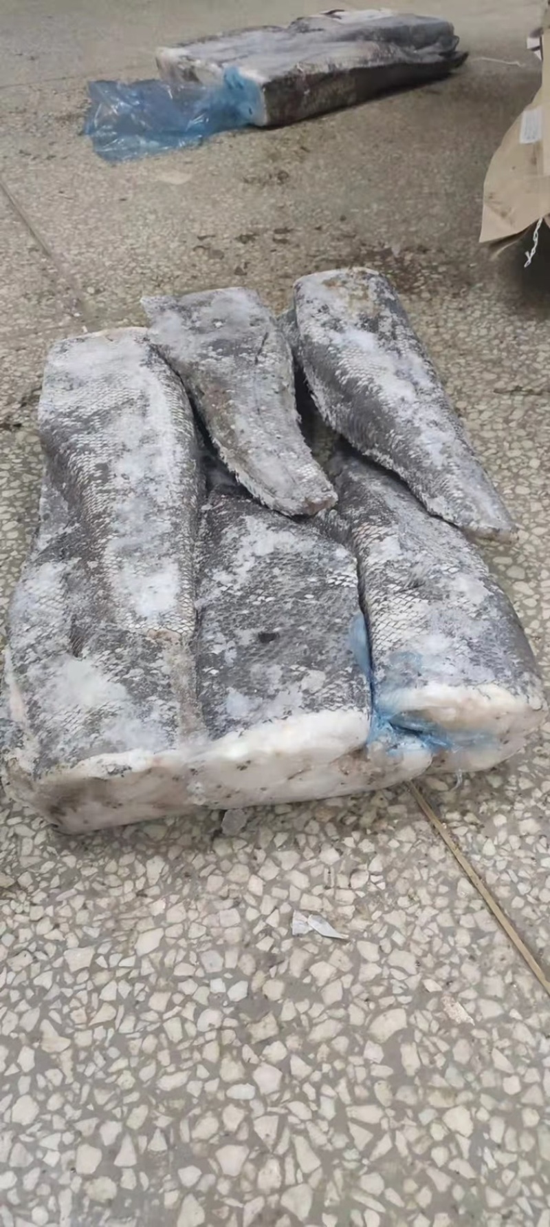 鳕鱼整条鳕鱼鳕鱼原料江苏海鲜水产批发鳕鱼