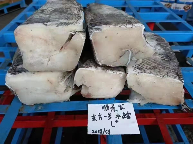 鳕鱼整条鳕鱼鳕鱼原料江苏海鲜水产批发鳕鱼