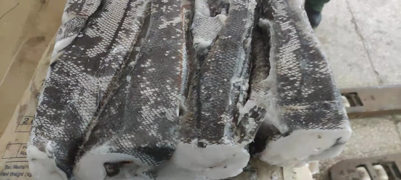鳕鱼整条鳕鱼鳕鱼原料江苏海鲜水产批发鳕鱼