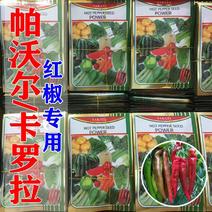 辣椒种子日本坂田红椒专用帕沃尔卡罗拉甜脆不辣