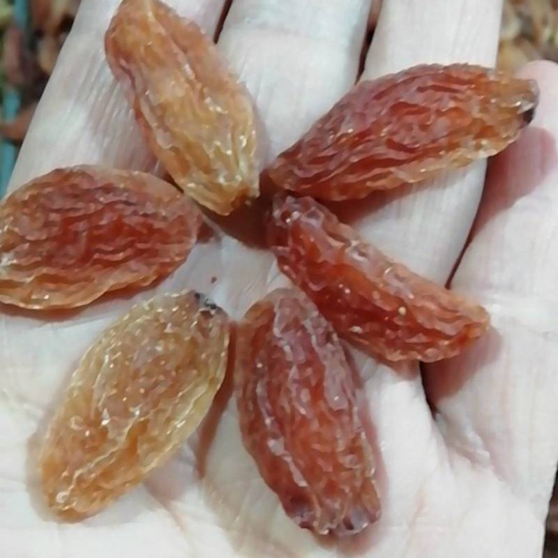 吐鲁番红香妃葡萄干，一级，2斤起发货，量多优多