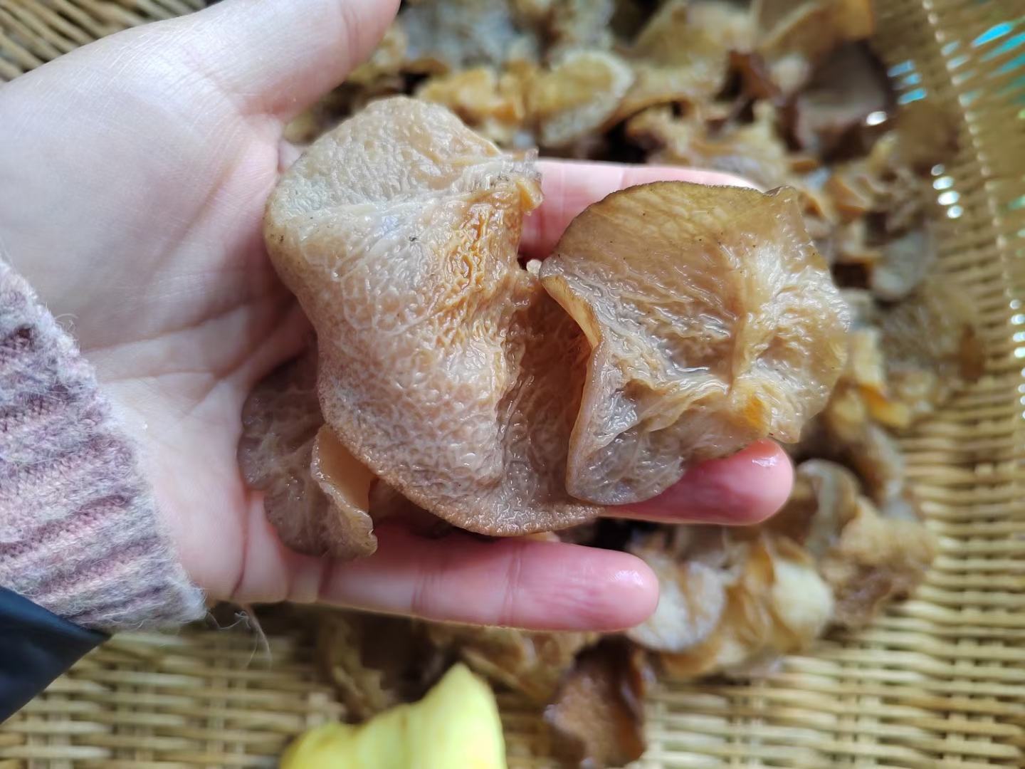 挑选优质干毛木耳