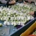 大青枣，蜜丝枣1月底上市产地直供代收代购