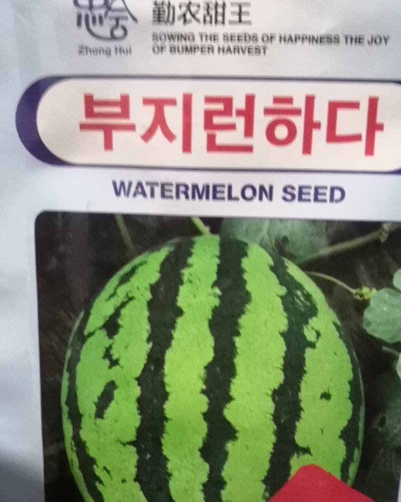 进口甜王西瓜种子