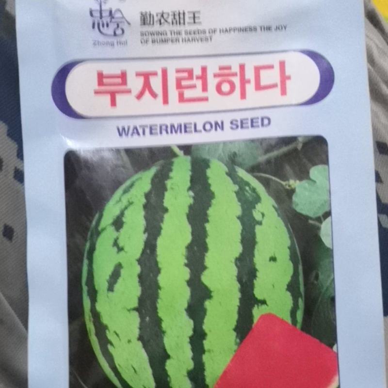 进口甜王西瓜种子