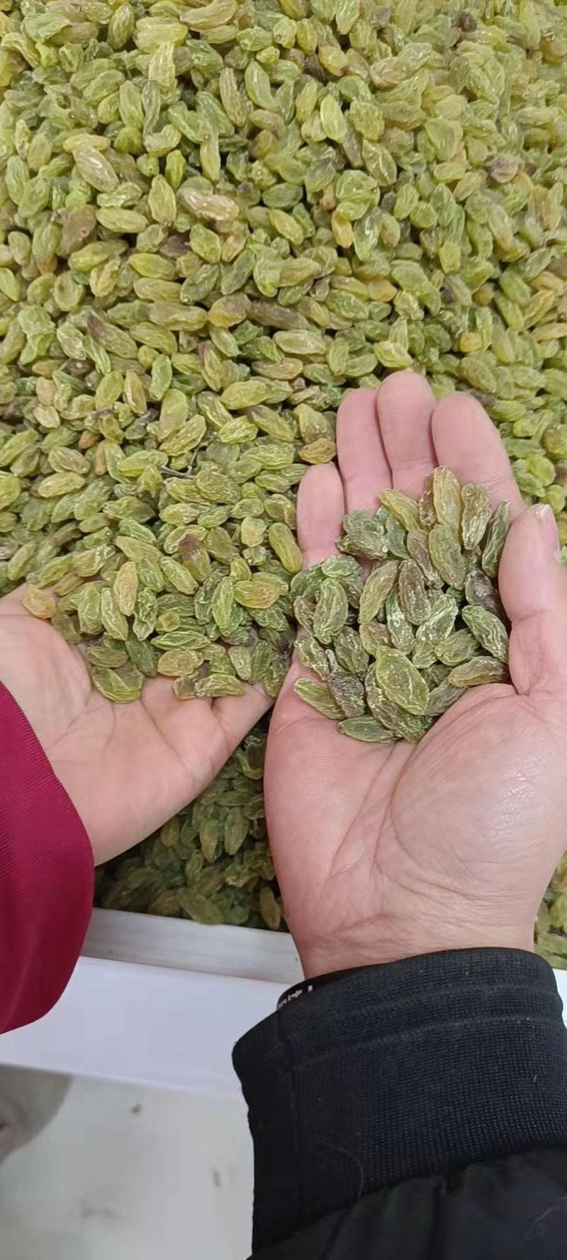 新疆葡萄干精品葡萄干产地直发货量充足量大从优欢迎采购