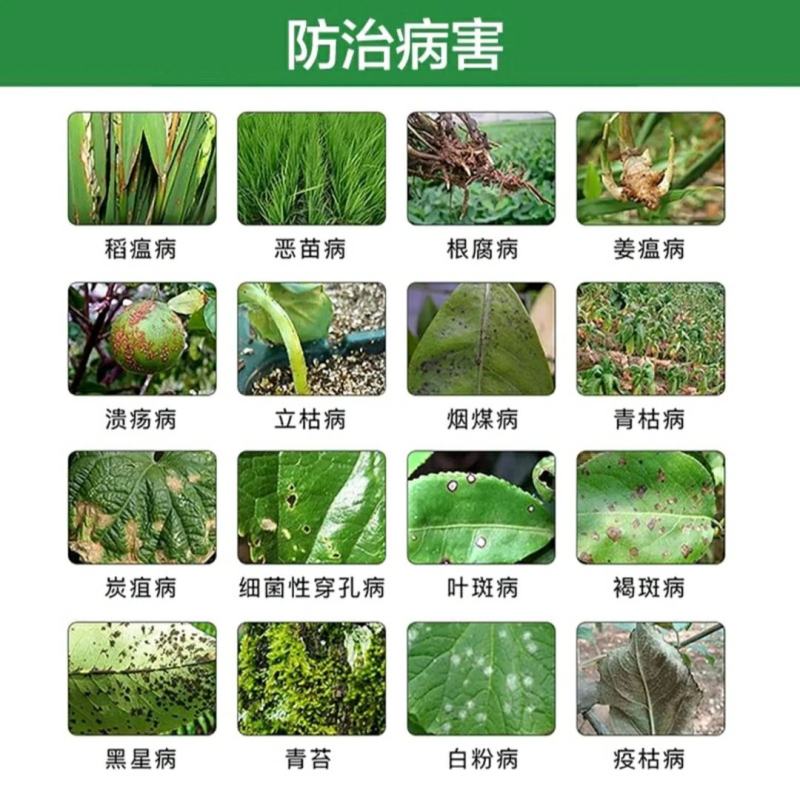 80%乙蒜素调节生长、促进萌芽、提高发芽率、增加产量品质