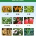 80%乙蒜素调节生长、促进萌芽、提高发芽率、增加产量品质