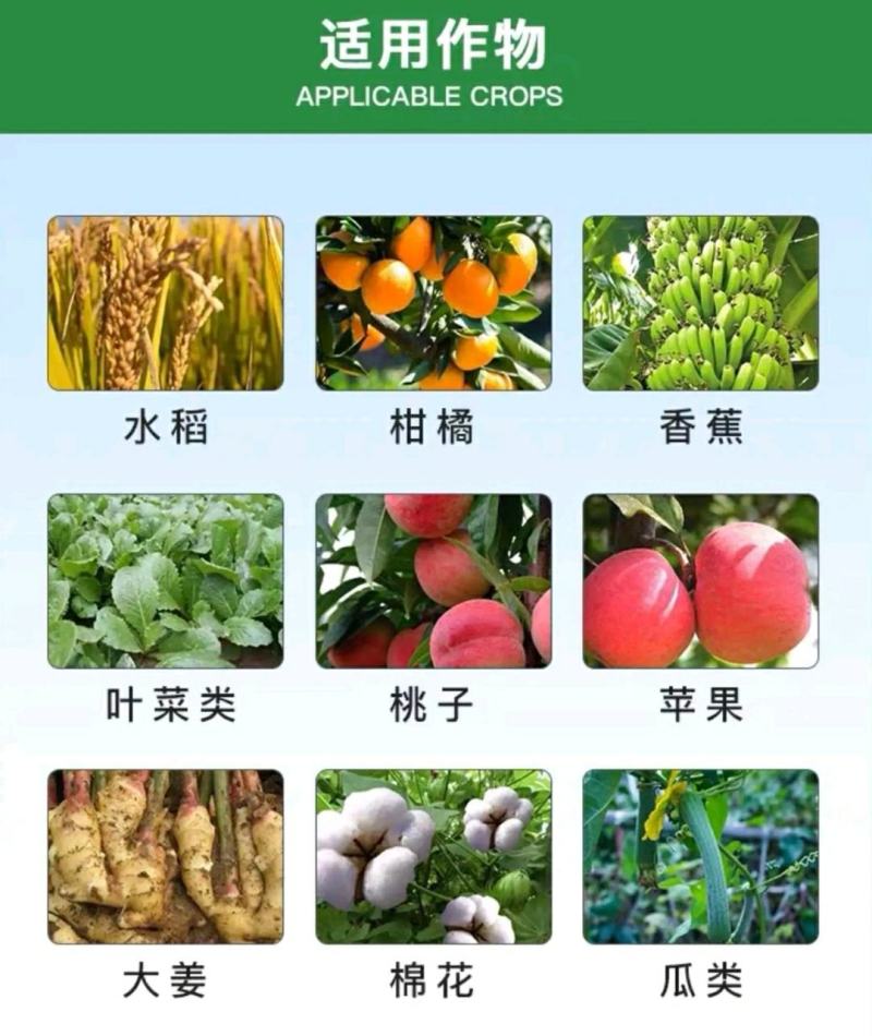 80%乙蒜素调节生长、促进萌芽、提高发芽率、增加产量品质