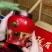 金骏眉新茶红茶黄芽蜜香金俊眉茶叶500克高档礼盒装