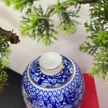 金骏眉新茶黄芽蜜香金俊眉红茶高档礼盒装251