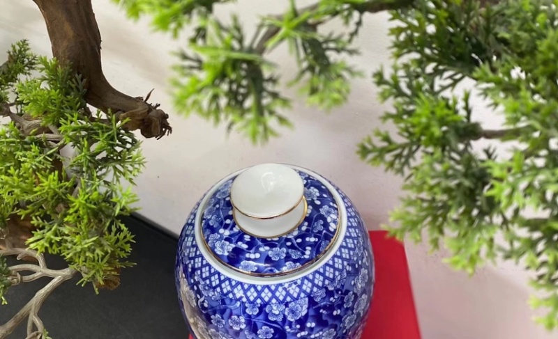 金骏眉新茶黄芽蜜香金俊眉红茶高档礼盒装251
