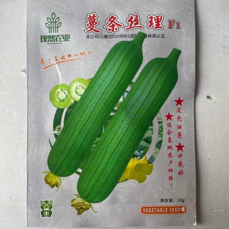 农乐种业理想蔓条丝理丝瓜种子杂交油皮丝瓜种籽油绿丝瓜早熟