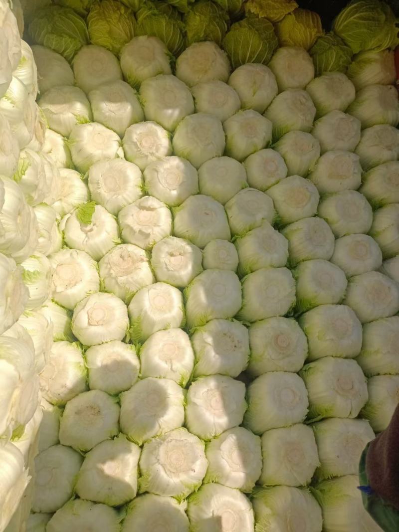 产地直销黄心白菜，品质好价格低廉，黄心叶绿帮薄，口感甜嫩