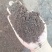羊粪颗粒长效发酵羊粪内蒙古风干羊粪改良土壤羊粪蛋内蒙古