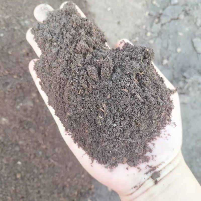 羊粪颗粒长效发酵羊粪内蒙古风干羊粪改良土壤羊粪蛋内蒙古
