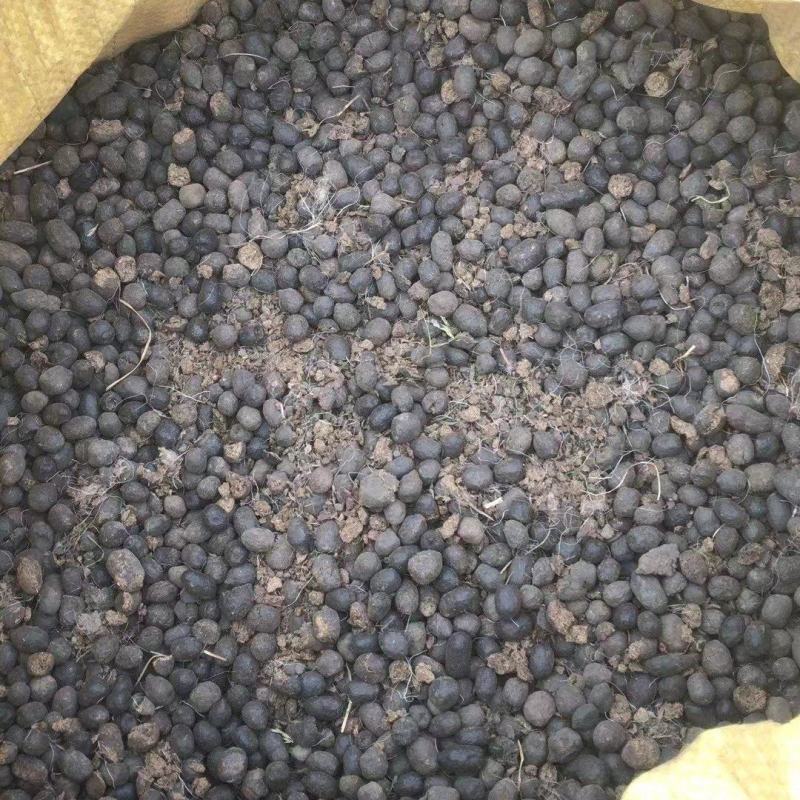 羊粪颗粒长效发酵羊粪内蒙古风干羊粪改良土壤羊粪蛋内蒙古
