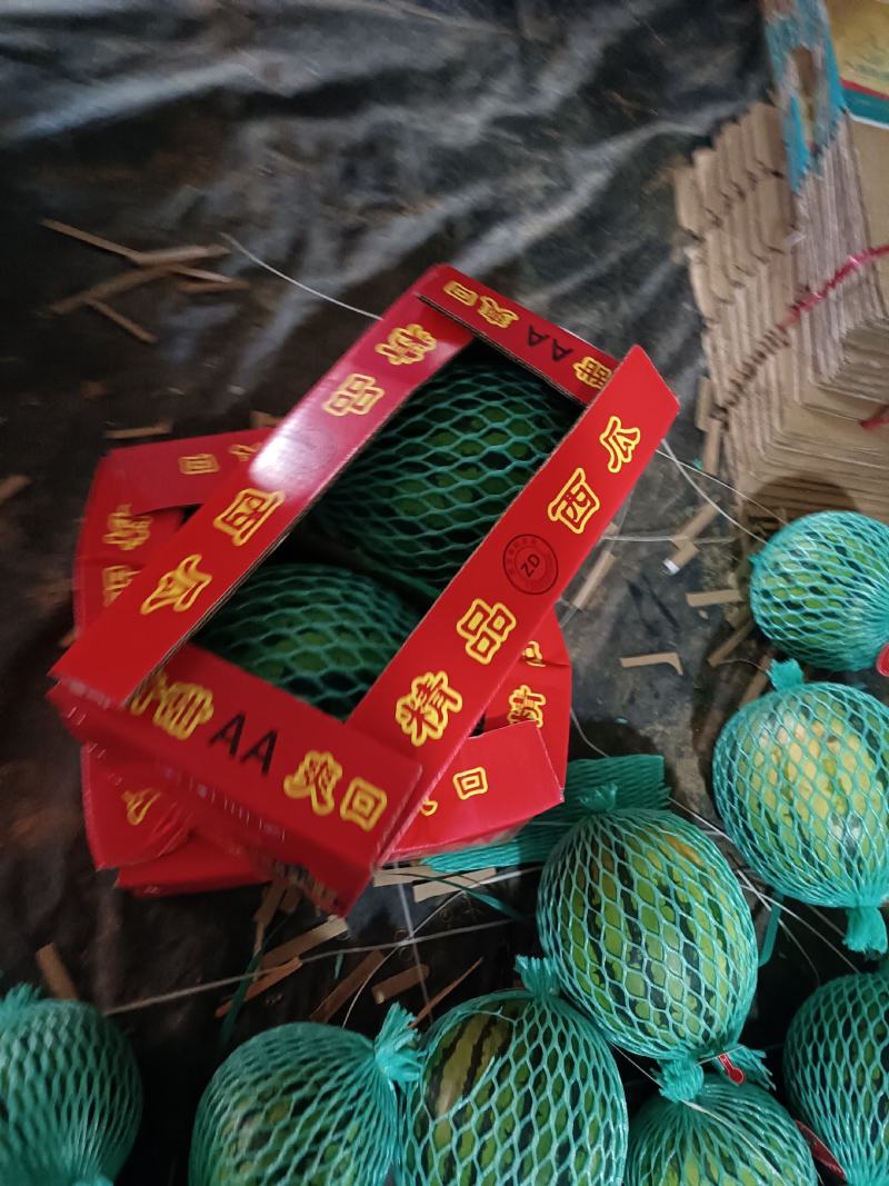 麒麟西瓜，也叫美都西瓜，口感好，含量高12以上