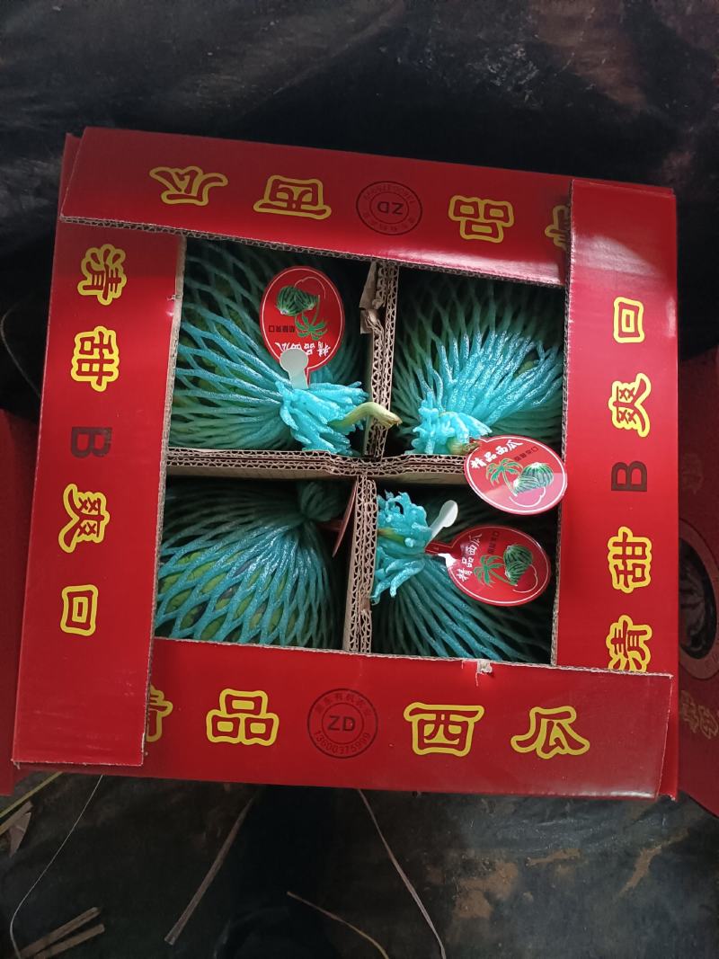 麒麟西瓜，也叫美都西瓜，口感好，含量高12以上