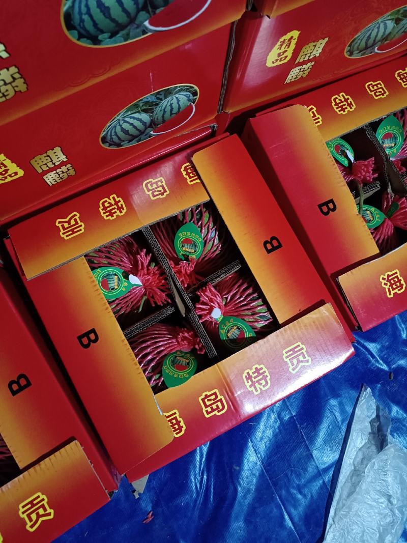 麒麟西瓜，也叫美都西瓜，口感好，含量高12以上