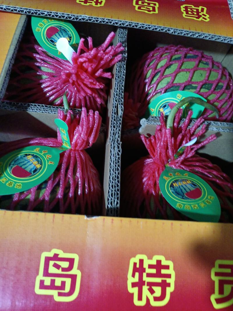 麒麟西瓜，也叫美都西瓜，口感好，含量高12以上
