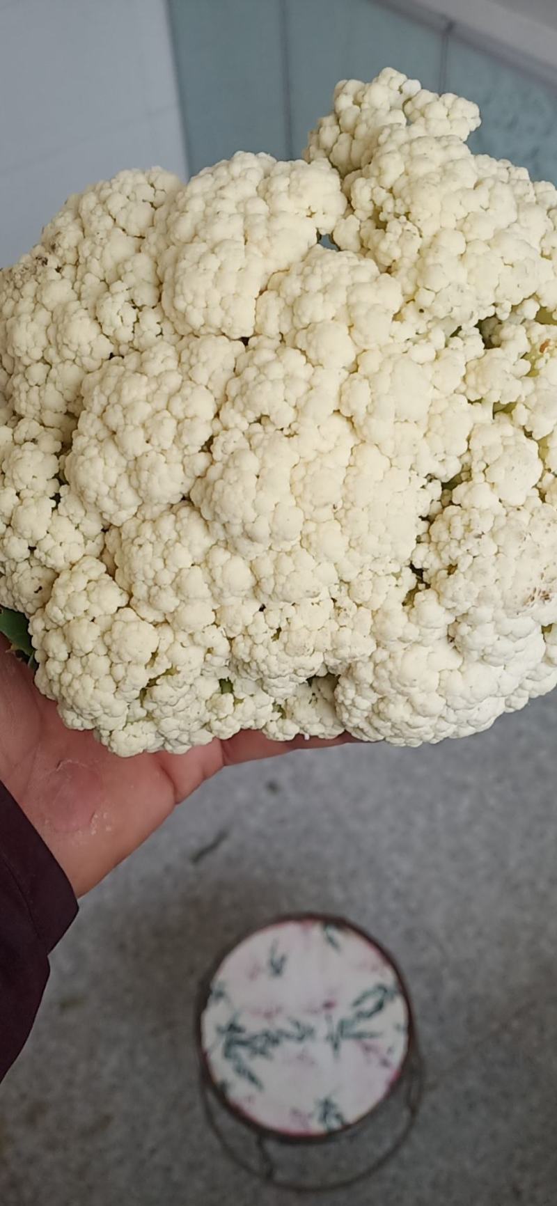 菜花，安徽花菜，青梗白面小米粒，保证质量，代发会国