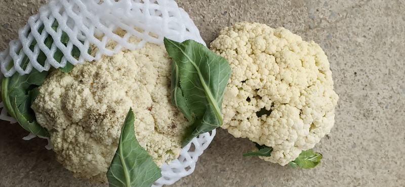 菜花，安徽花菜，青梗白面小米粒，保证质量，代发会国