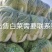 青杂三号白菜.大量上市，产地直发，大量有货