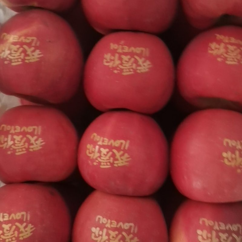 产地直发，印字苹果，质量好价格低，辽宁苹果，全国发货