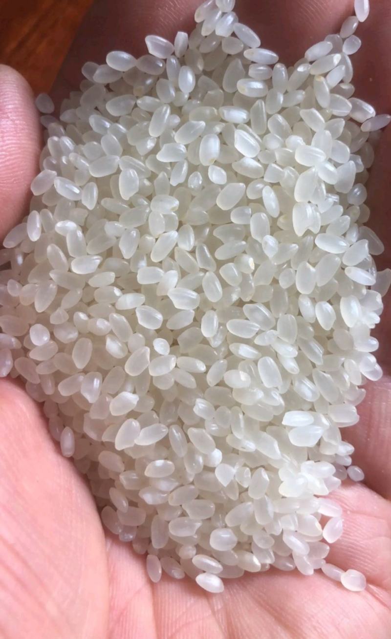 中*粮五湖珍珠米，工厂直发，可长期供应！