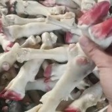 羊蹄（山羊）