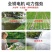 直流潜水泵浇菜48V60V通用种田农用船用直流泵