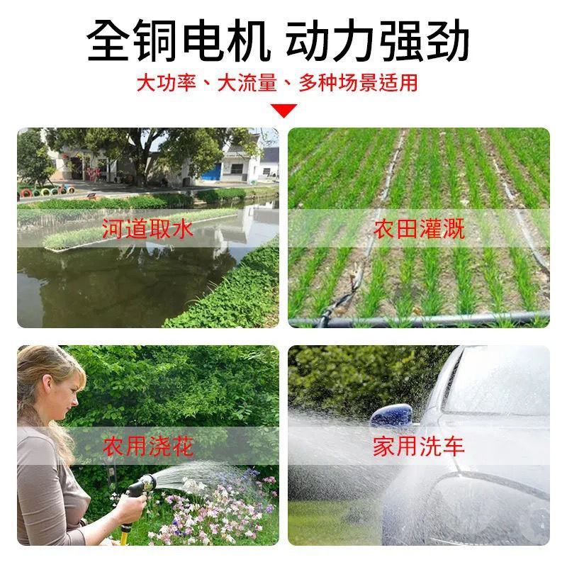 直流潜水泵浇菜48V60V通用种田农用船用直流泵