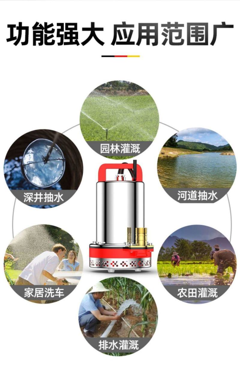 直流潜水泵浇菜48V60V通用种田农用船用直流泵