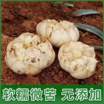 宜兴市高山百合，粉粉糯糯，营养丰富
