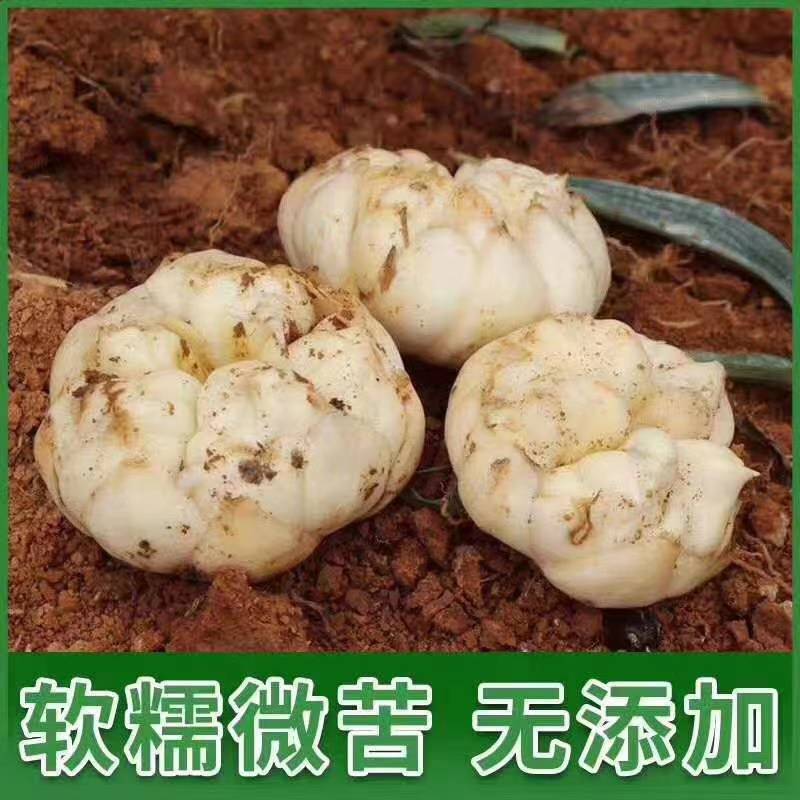 宜兴市高山百合，粉粉糯糯，营养丰富