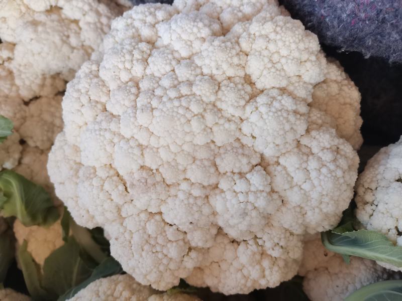 菜花花菜散花白面青梗市场货电商货多多买菜美团