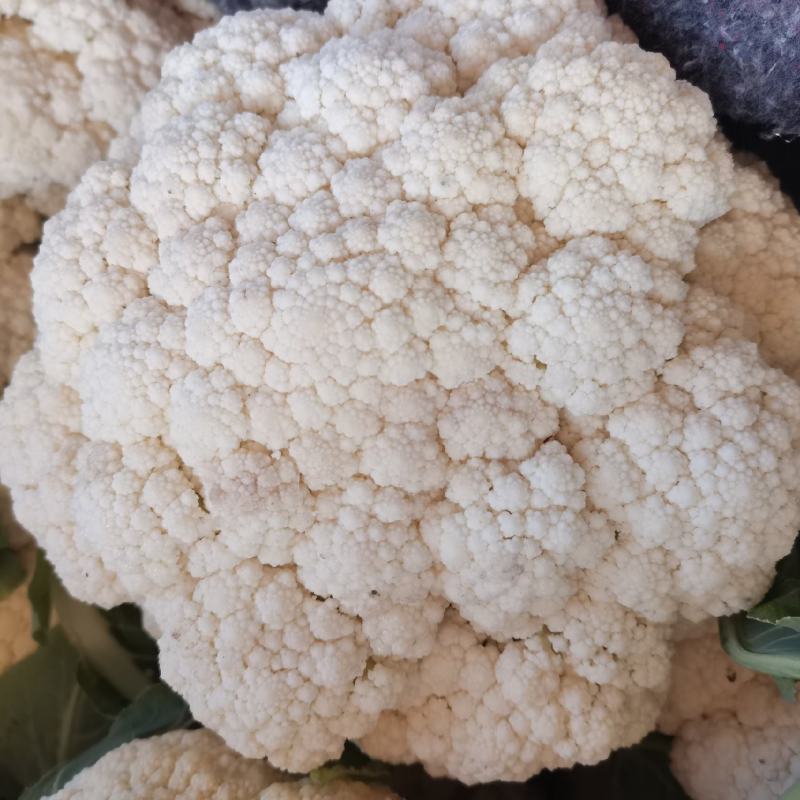 菜花花菜散花白面青梗市场货电商货多多买菜美团