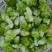 儿菜多子菜儿菜头电商货市场货多多买菜美团
