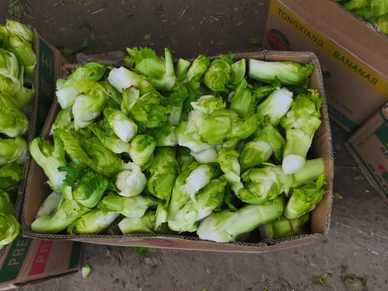 儿菜多子菜儿菜头电商货市场货多多买菜美团
