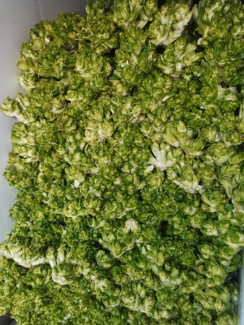 儿菜多子菜儿菜头电商货市场货多多买菜美团
