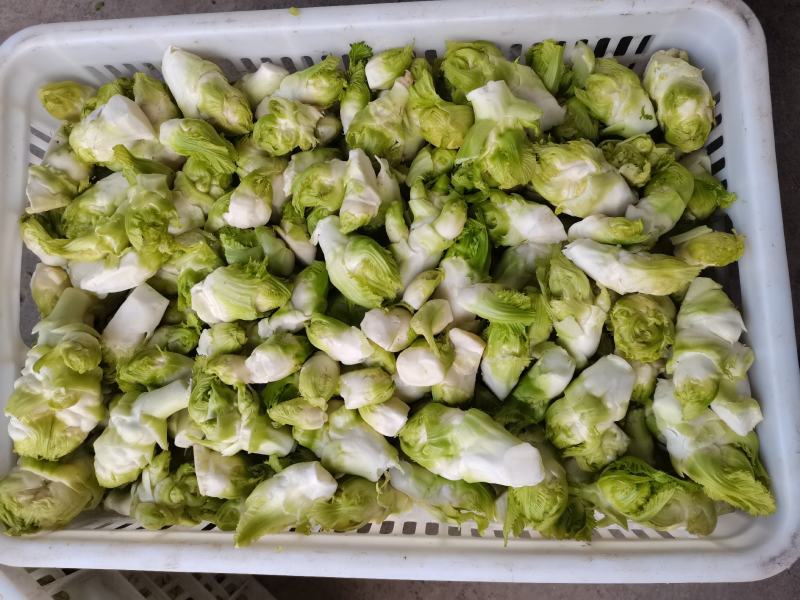 儿菜多子菜儿菜头电商货市场货多多买菜美团