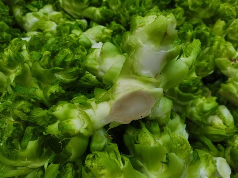 儿菜多子菜儿菜头电商货市场货多多买菜美团