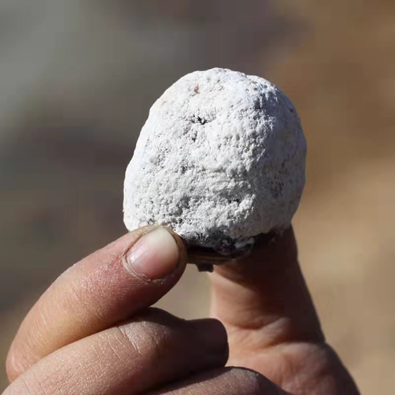 [21年满白霜柿饼]新货农家自制柿饼野生老树柿饼