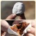 [21年满白霜柿饼]新货农家自制柿饼野生老树柿饼