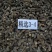 【野生羊肚菌】规格齐全大货批发味道香浓