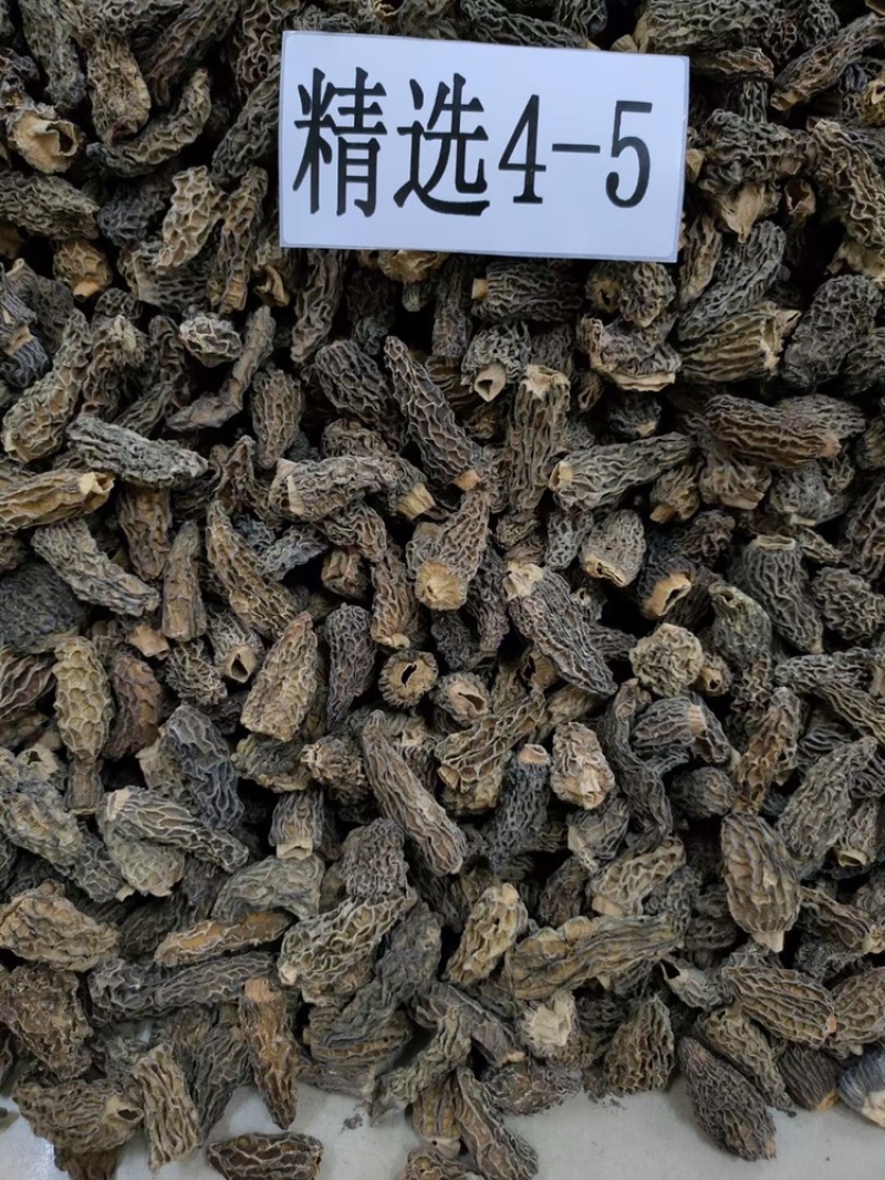 【野生羊肚菌】规格齐全大货批发味道香浓