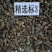 【野生羊肚菌】规格齐全大货批发味道香浓