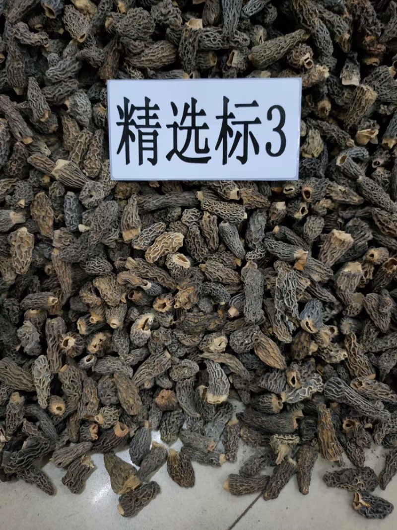 【野生羊肚菌】规格齐全大货批发味道香浓