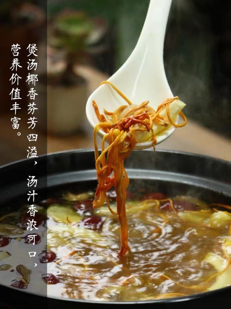 包邮汤料佳品椰子皇海椰皇干椰子肉海底椰王新鲜椰子